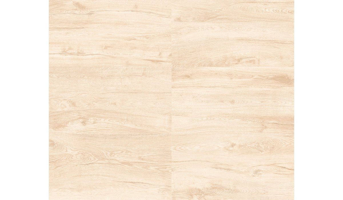 Valdivia Light 20x120