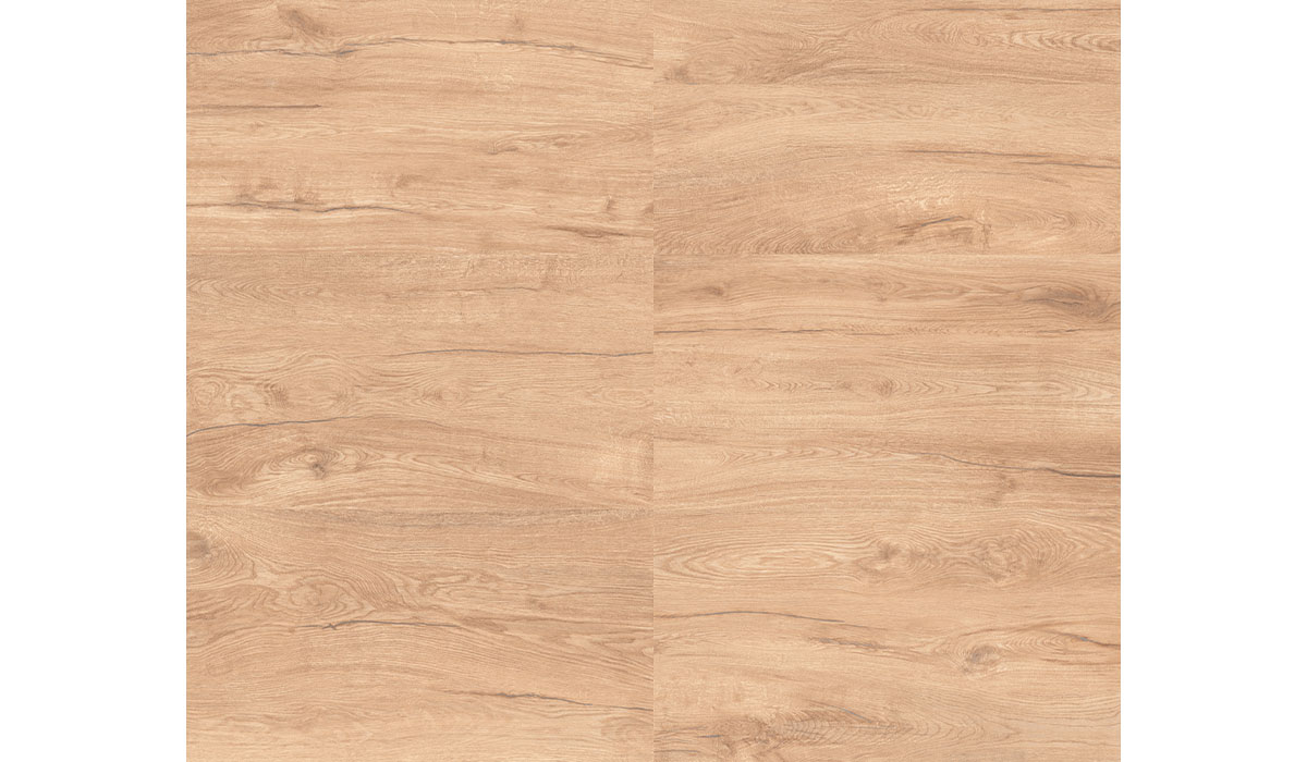 Valdivia Natural 20x120