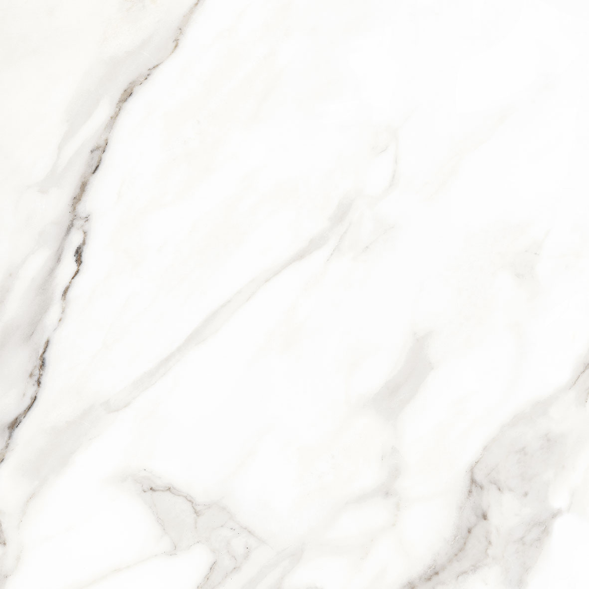 Calacatta Beige 60X60