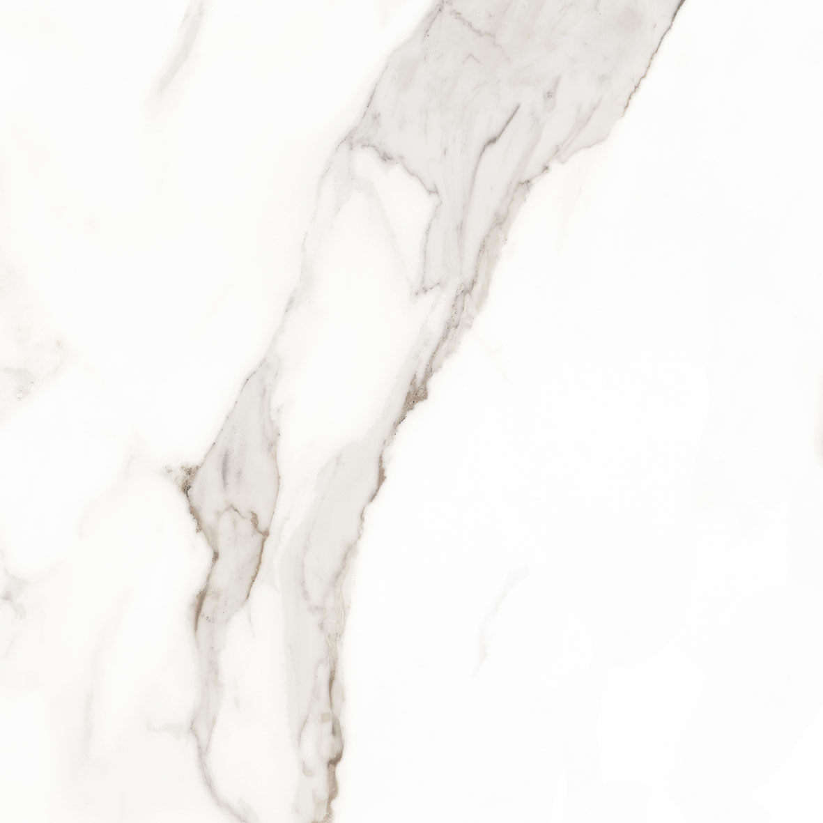 Calacatta Beige 60X60