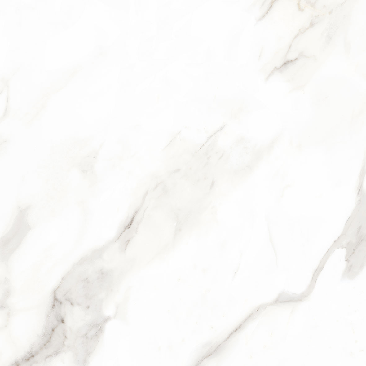 Calacatta Beige 60X60