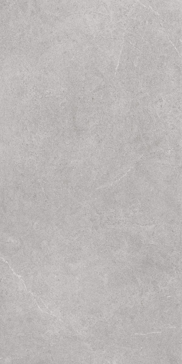 Divina Grigio 60x1198